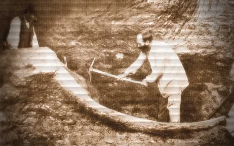 Τα περίφημα παλαιοντολογικά ευρήματα των ανασκαφών της Μεγαλόπολης, το 1902…